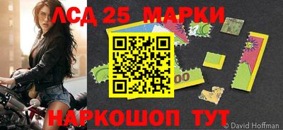 прущие грибы Шахты
