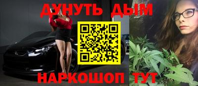 прущие грибы Шахты