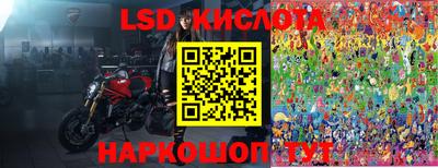 прущие грибы Шахты