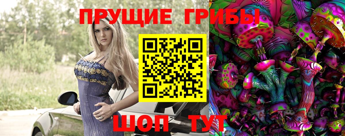 Галлюциногенные грибы GOLDEN TEACHER  Вход с VPN  Владикавказ  Псилоцибиновые грибы мицелий 
